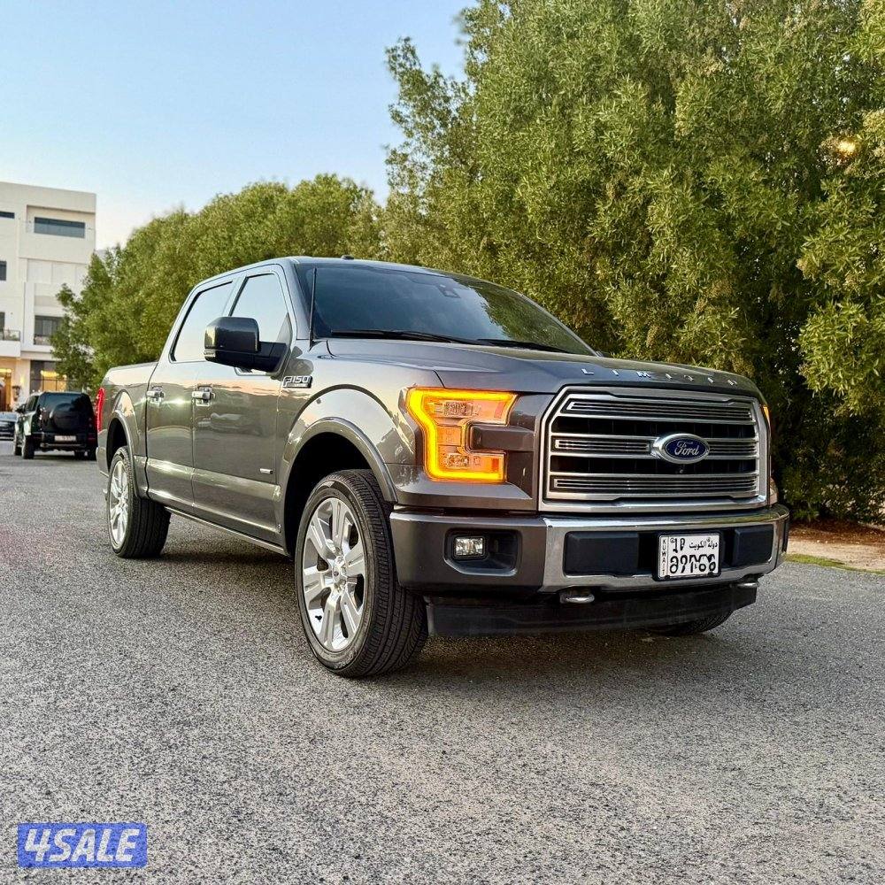 للبيع وانيت فورد F 1502