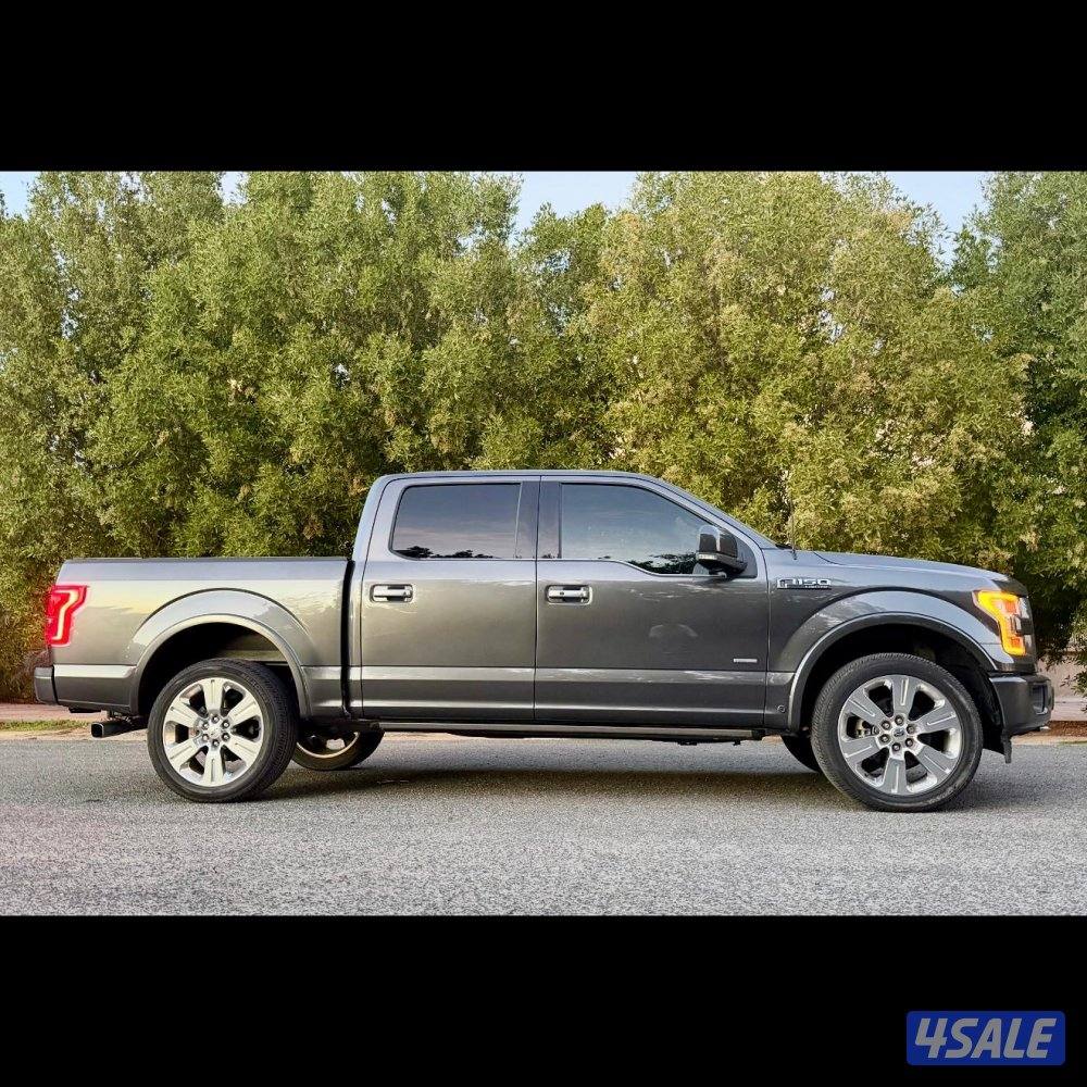 للبيع وانيت فورد F 1501