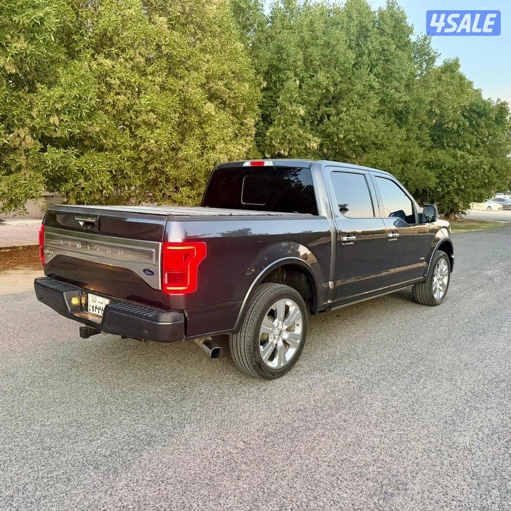 للبيع وانيت فورد F 1504