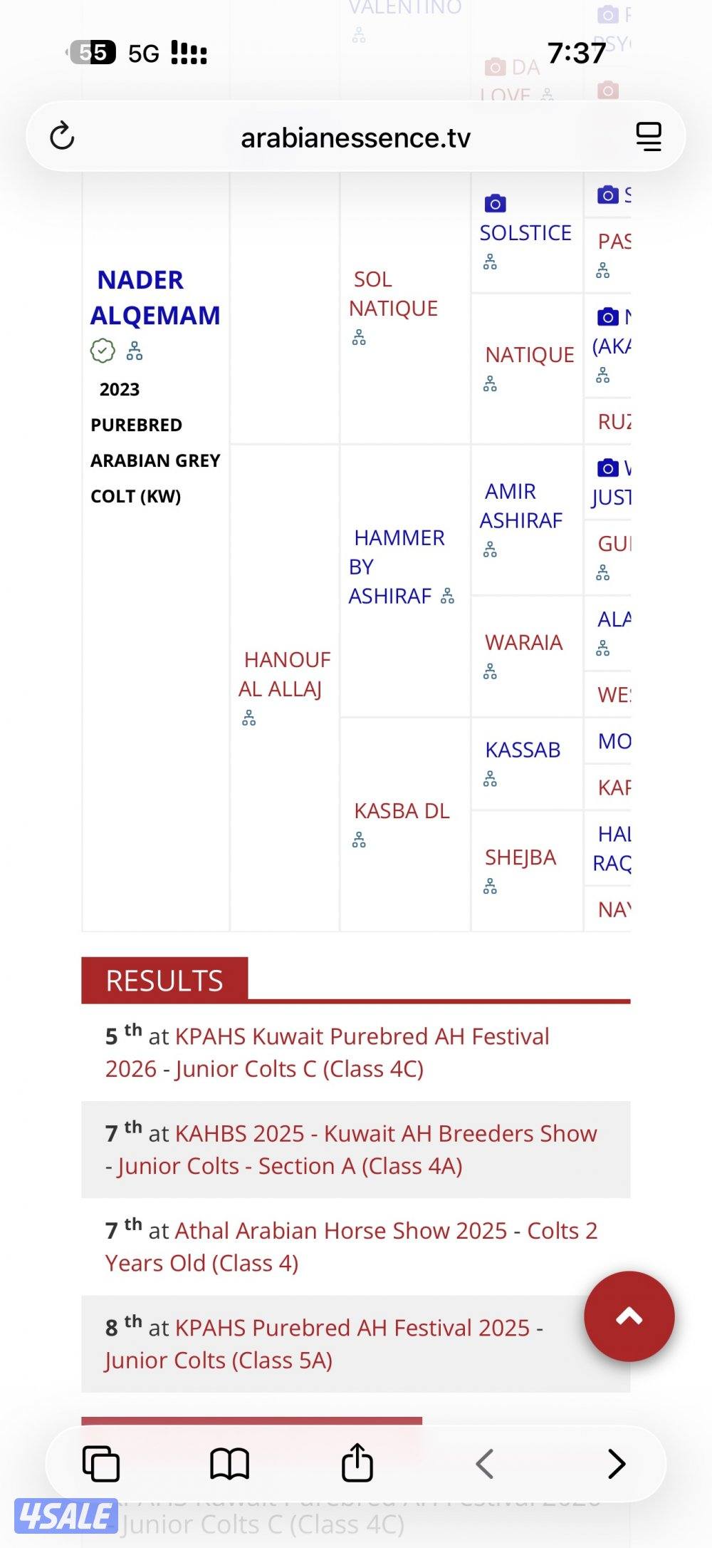 مهر شو جمال حفيد دي فالنتينو2