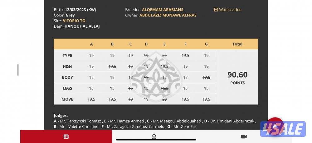 مهر شو جمال حفيد دي فالنتينو3