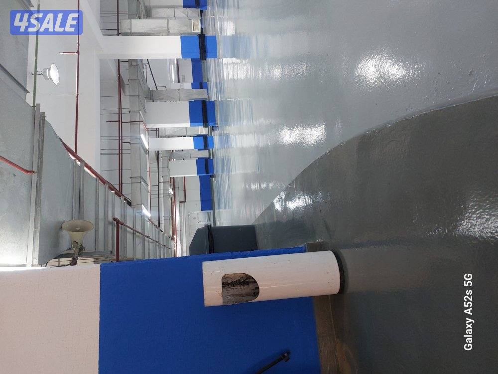 اصباغ# اصباغ#اصباغ#4