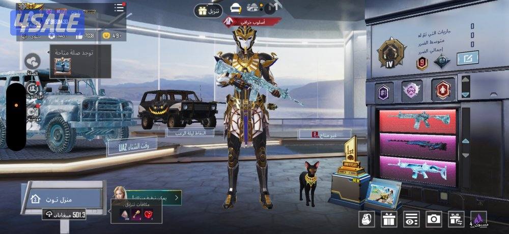 حساب ببجي نادر0