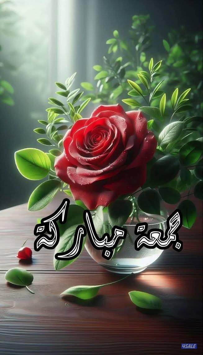 أمن وحراسه0