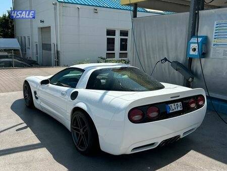 Corvette C5 TigerShark + WALD Mercedes E240 Rear Bumpers0