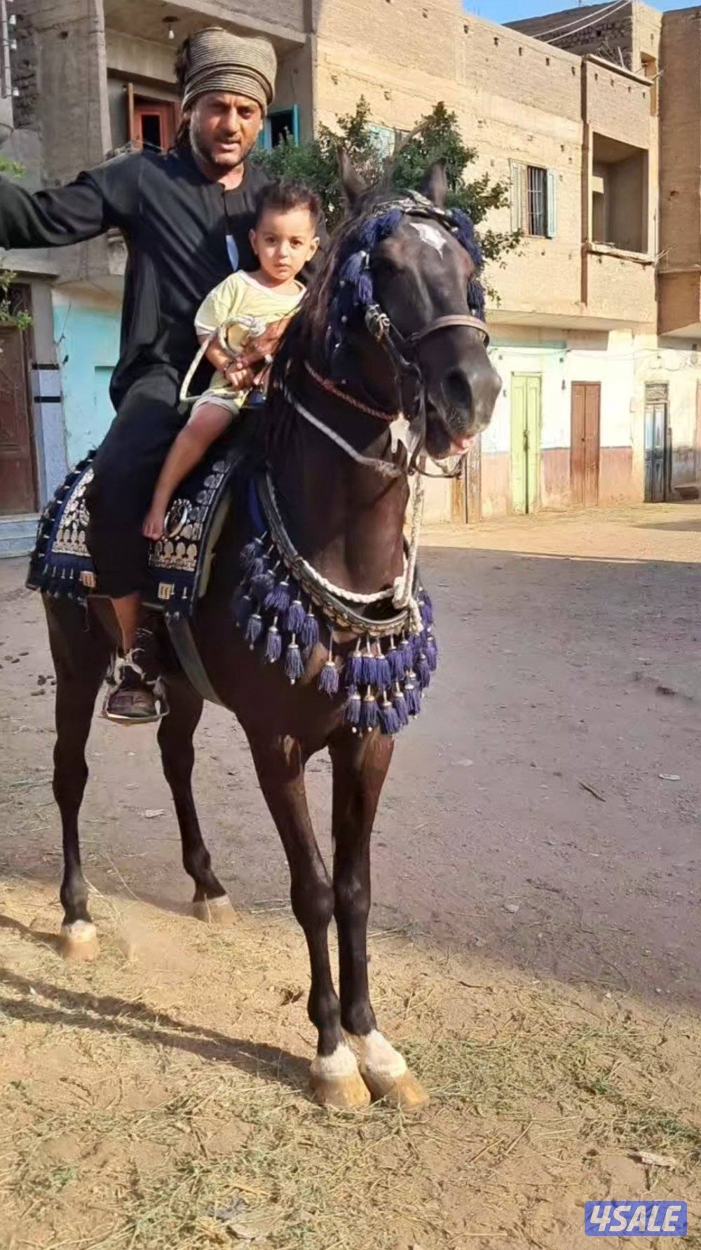 مكائن وقيرات وبككسات أمريكي يوكن تاهو وانيت اسكاليد2