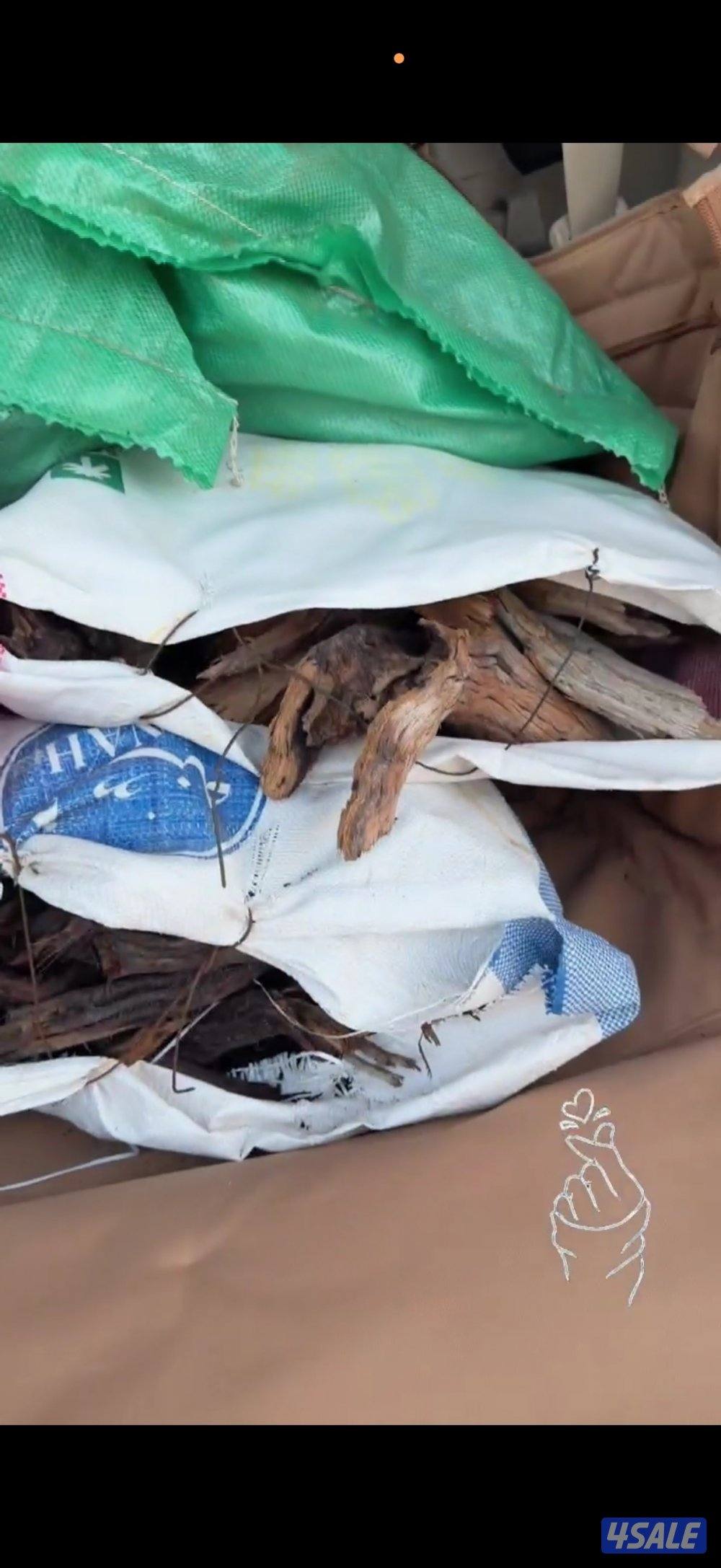 رمث وغضا جروم كبار ع61