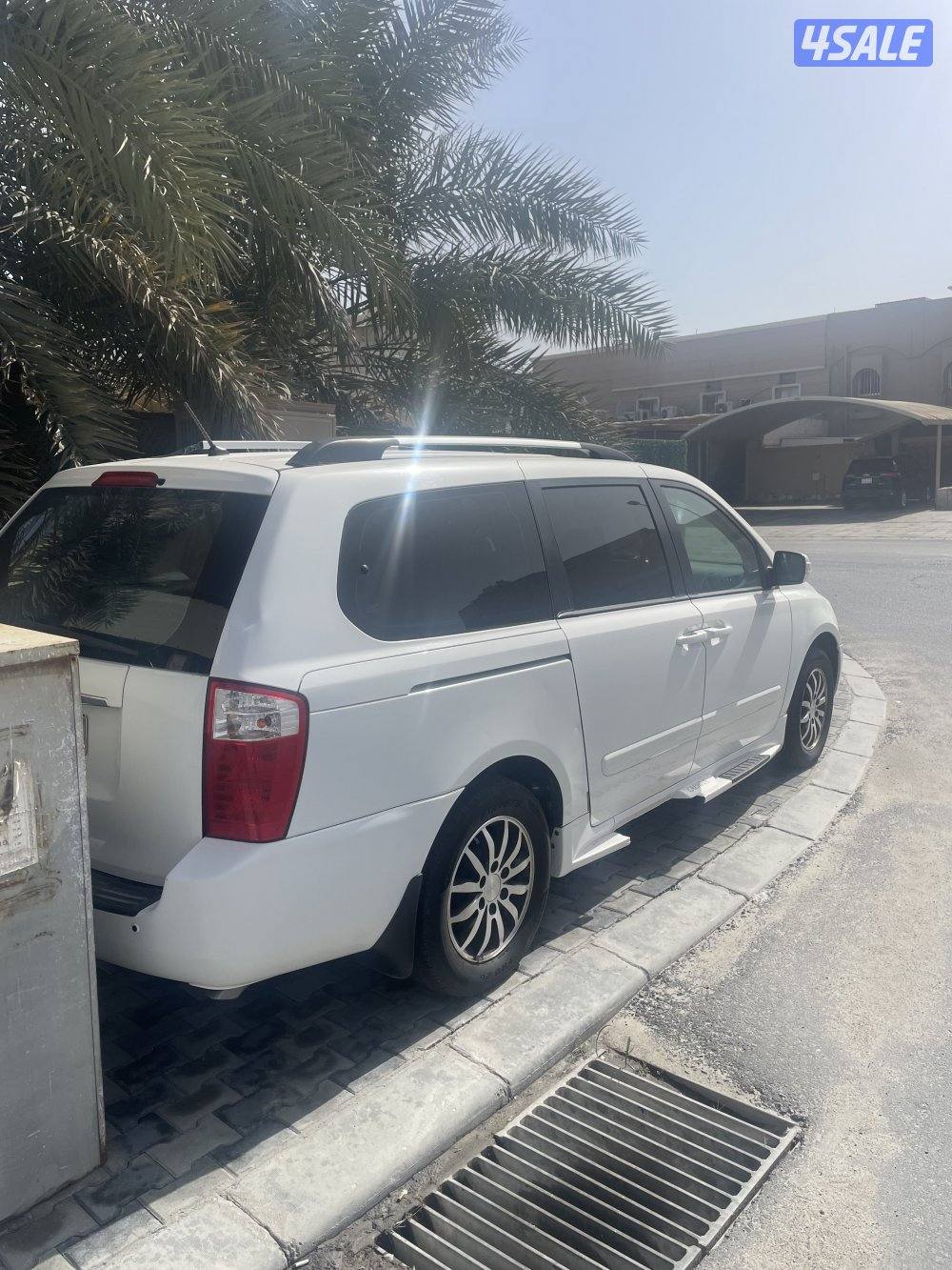 كرنفال 2013 صبغ الوكالة1