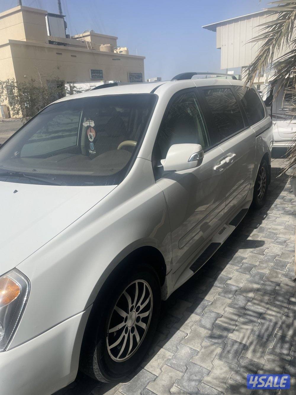 كرنفال 2013 صبغ الوكالة2