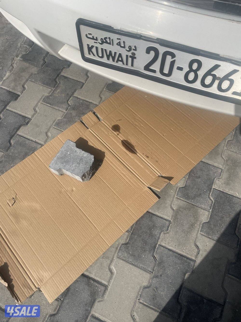 كرنفال 2013 صبغ الوكالة3