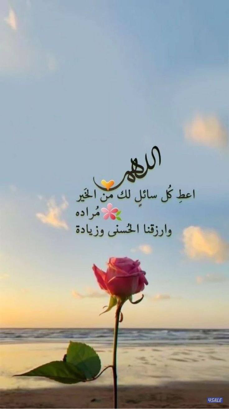 صالون للبيع كامل مع عاملات ورخصة0