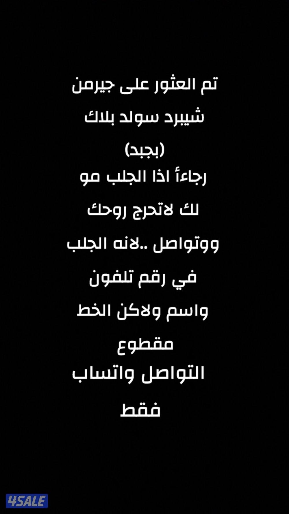 العثور على كلب مفقود0