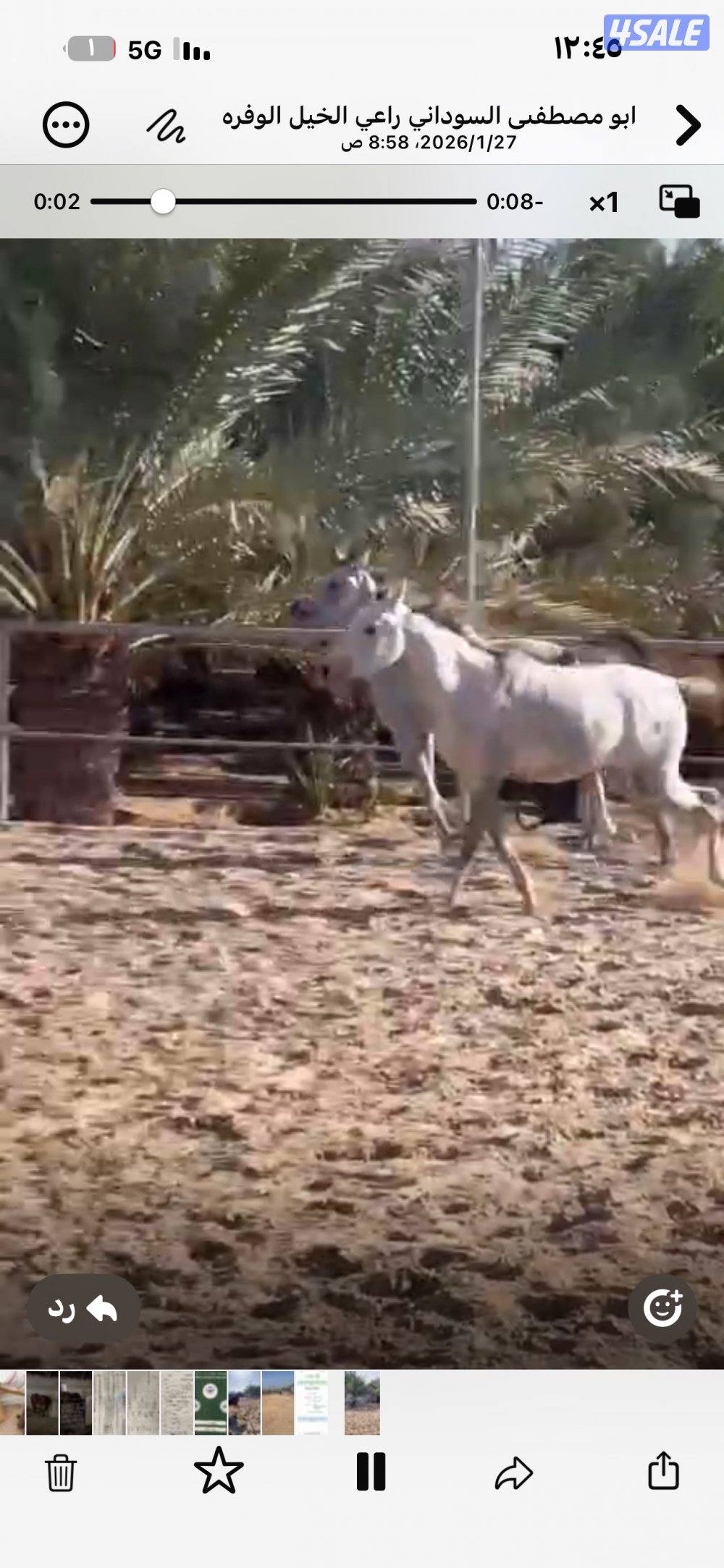 فلو عمره ٢ وفلو عمره سنه شرط والصحاه وسلم0