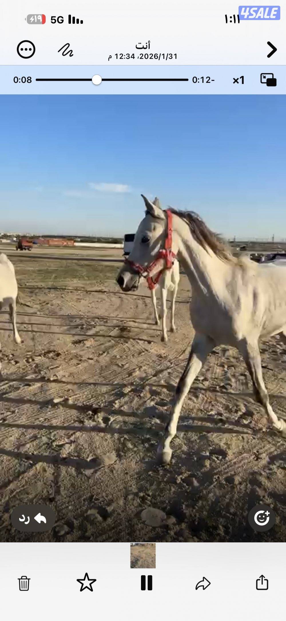 فلو عمره ٢ وفلو عمره سنه شرط والصحاه وسلم2