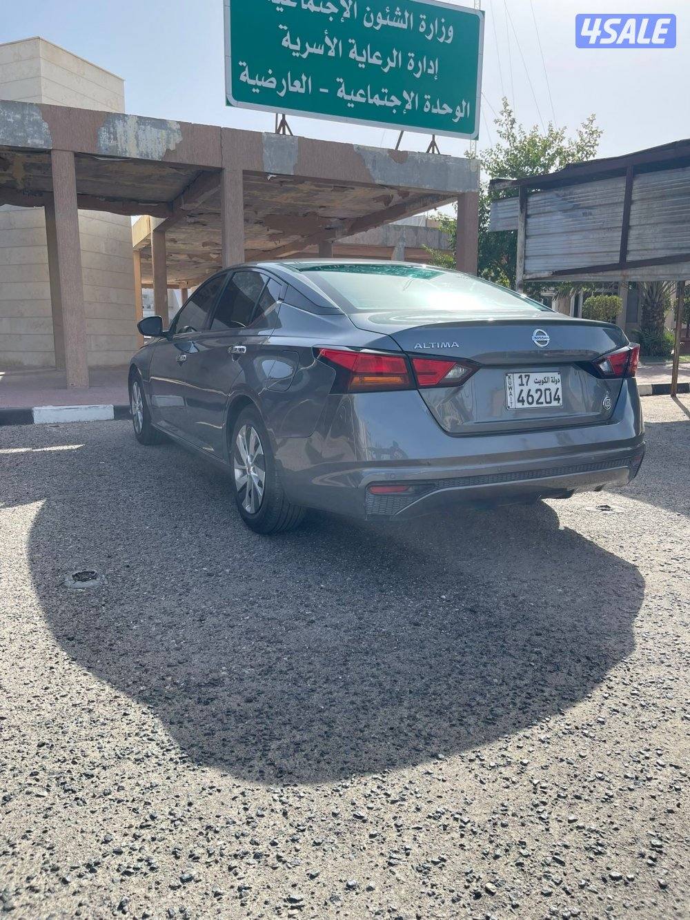 البيع التيما 20191