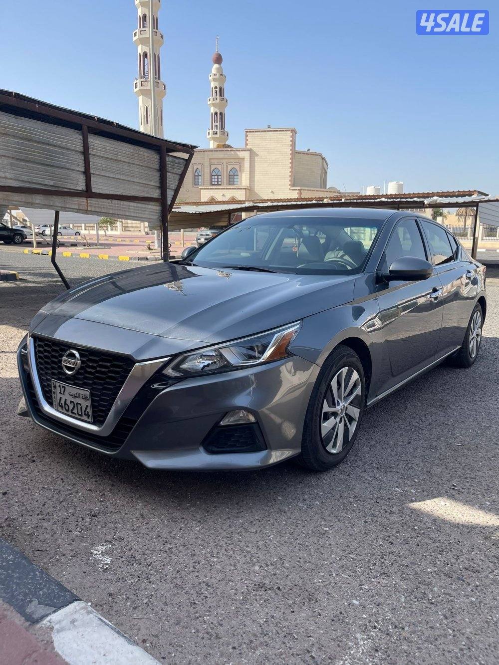 البيع التيما 20192