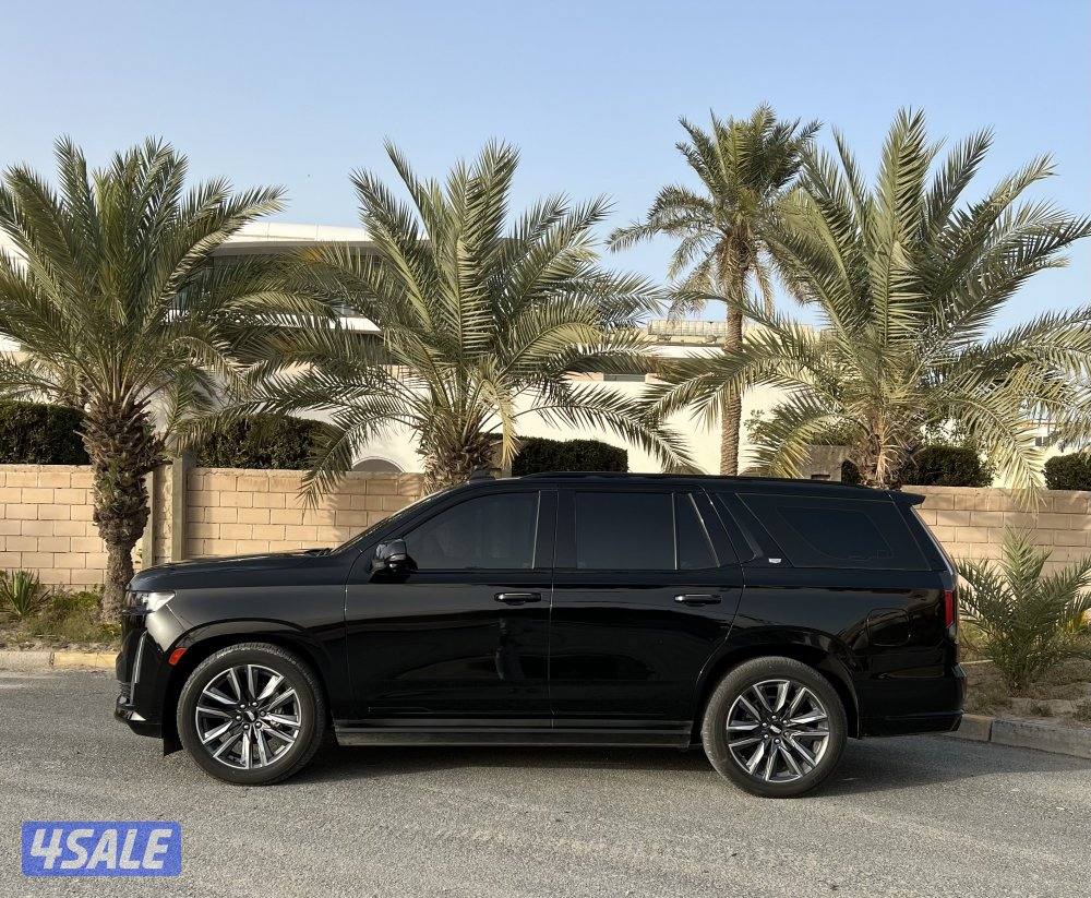 سبورت بلاتينيوم1