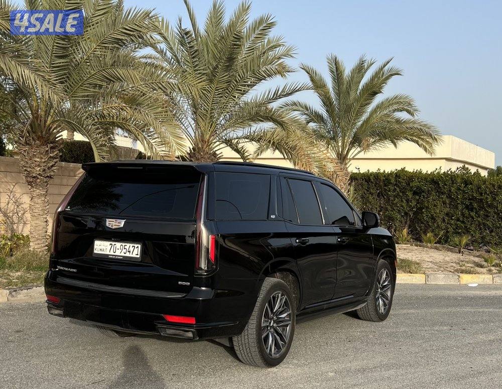 سبورت بلاتينيوم2