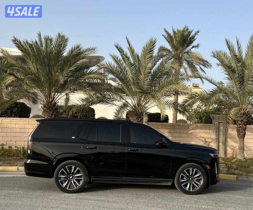 سبورت بلاتينيوم3