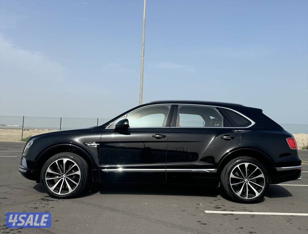 بنتياجا عداد 164 وارد الزياني1