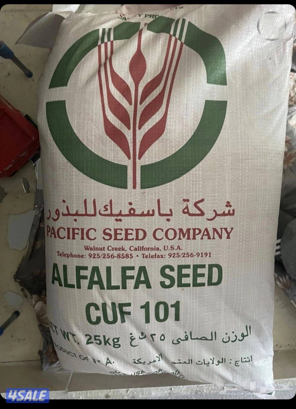 بذور البرسيم تاريخ جديد 20250