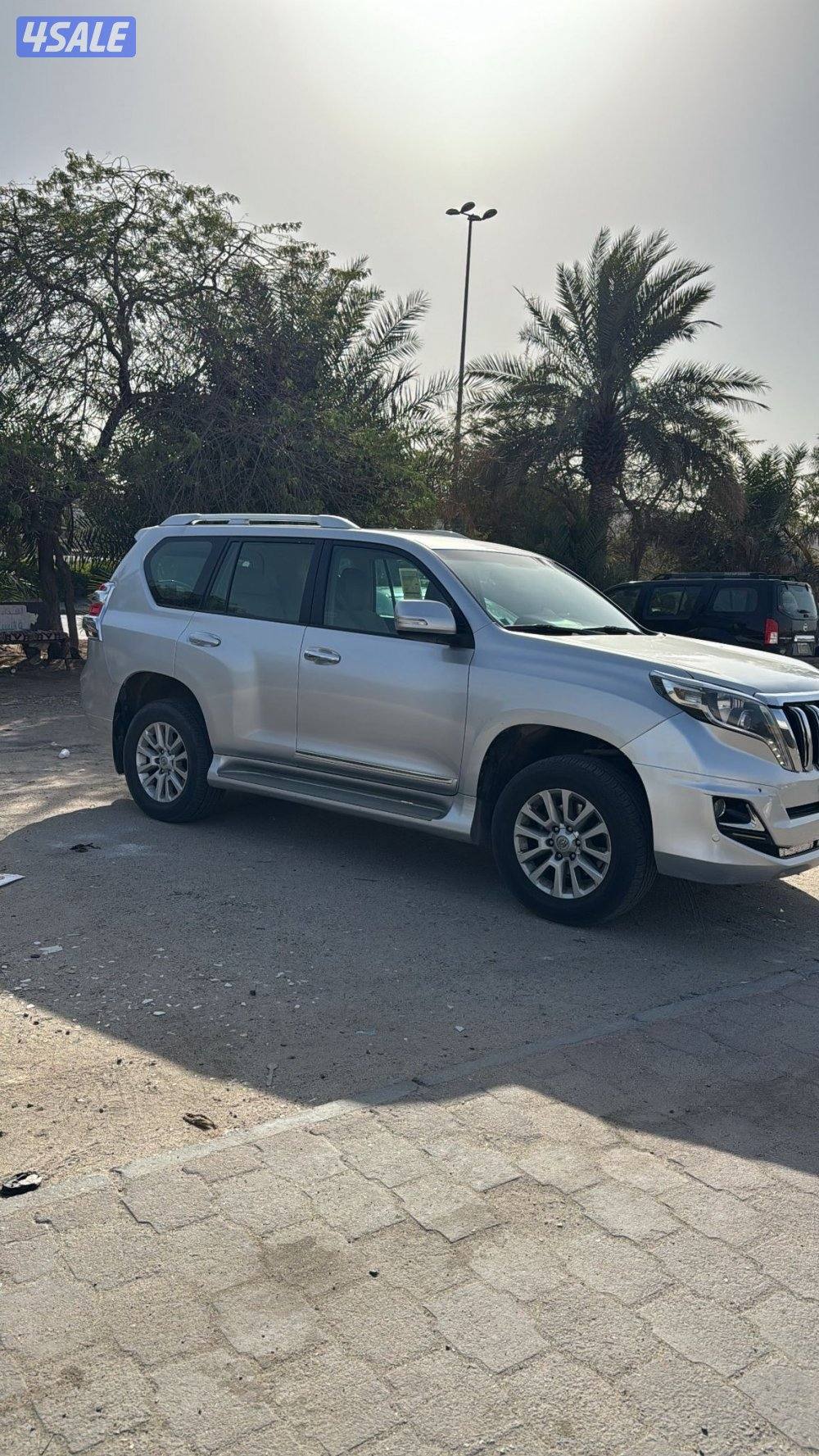 برادو سيلفر 20174