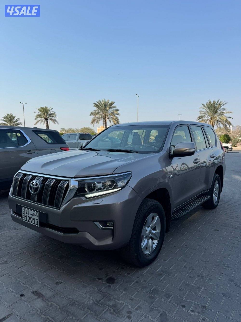 بيعة سريعة8