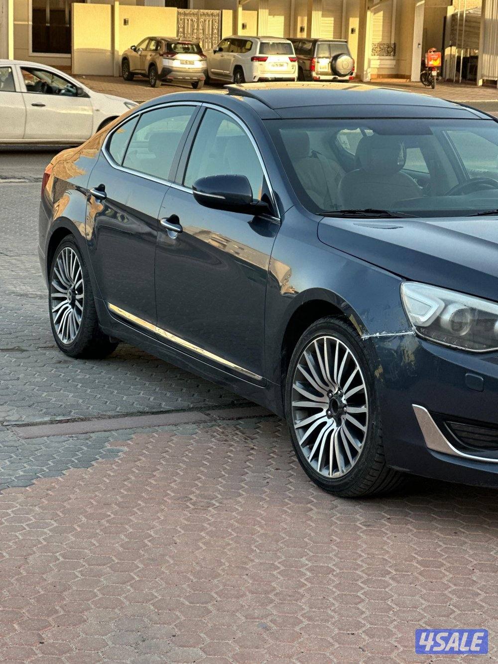 كادينزا شرط الفحص4