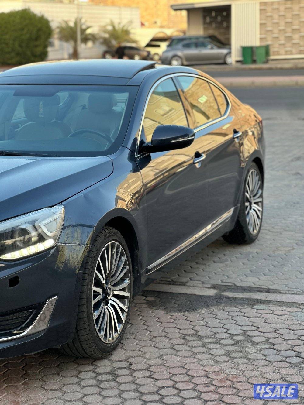 كادينزا شرط الفحص6