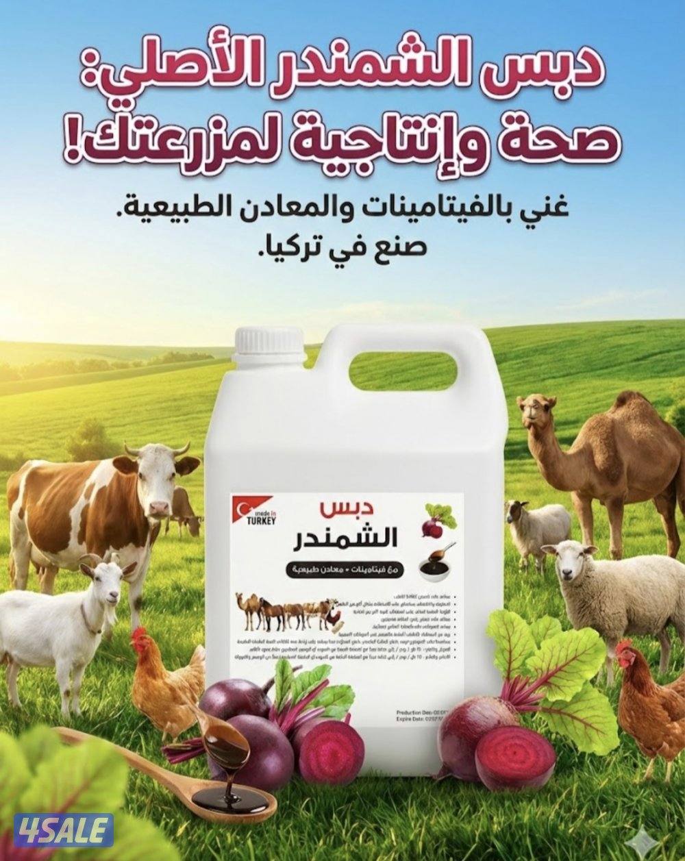 دبس الشمندر0