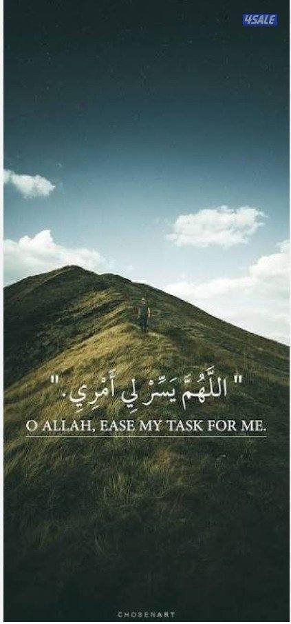 محاسب ابحث عن عمل0