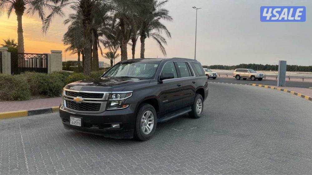 للمعاينة العارضية الحرفية0