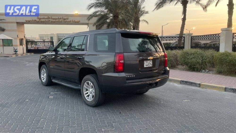 للمعاينة العارضية الحرفية3