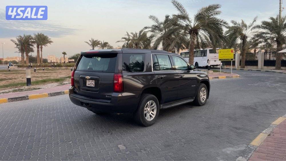 للمعاينة العارضية الحرفية4