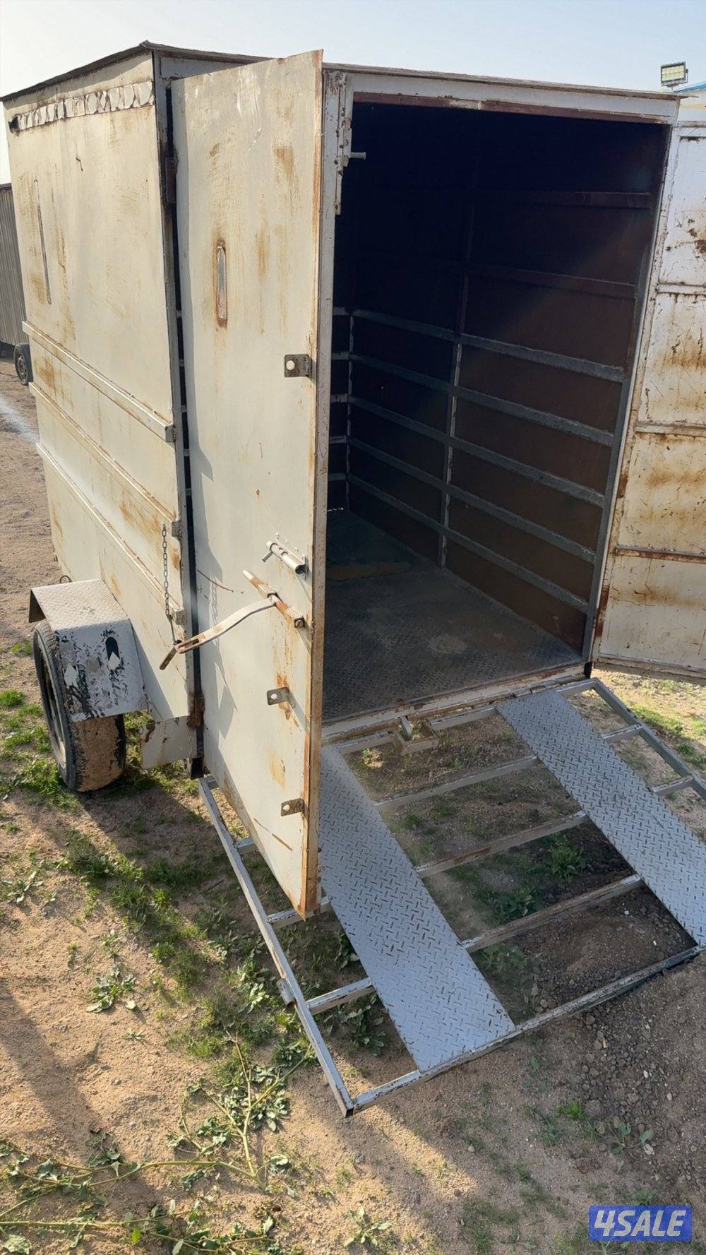 عربانه قولف نايز0