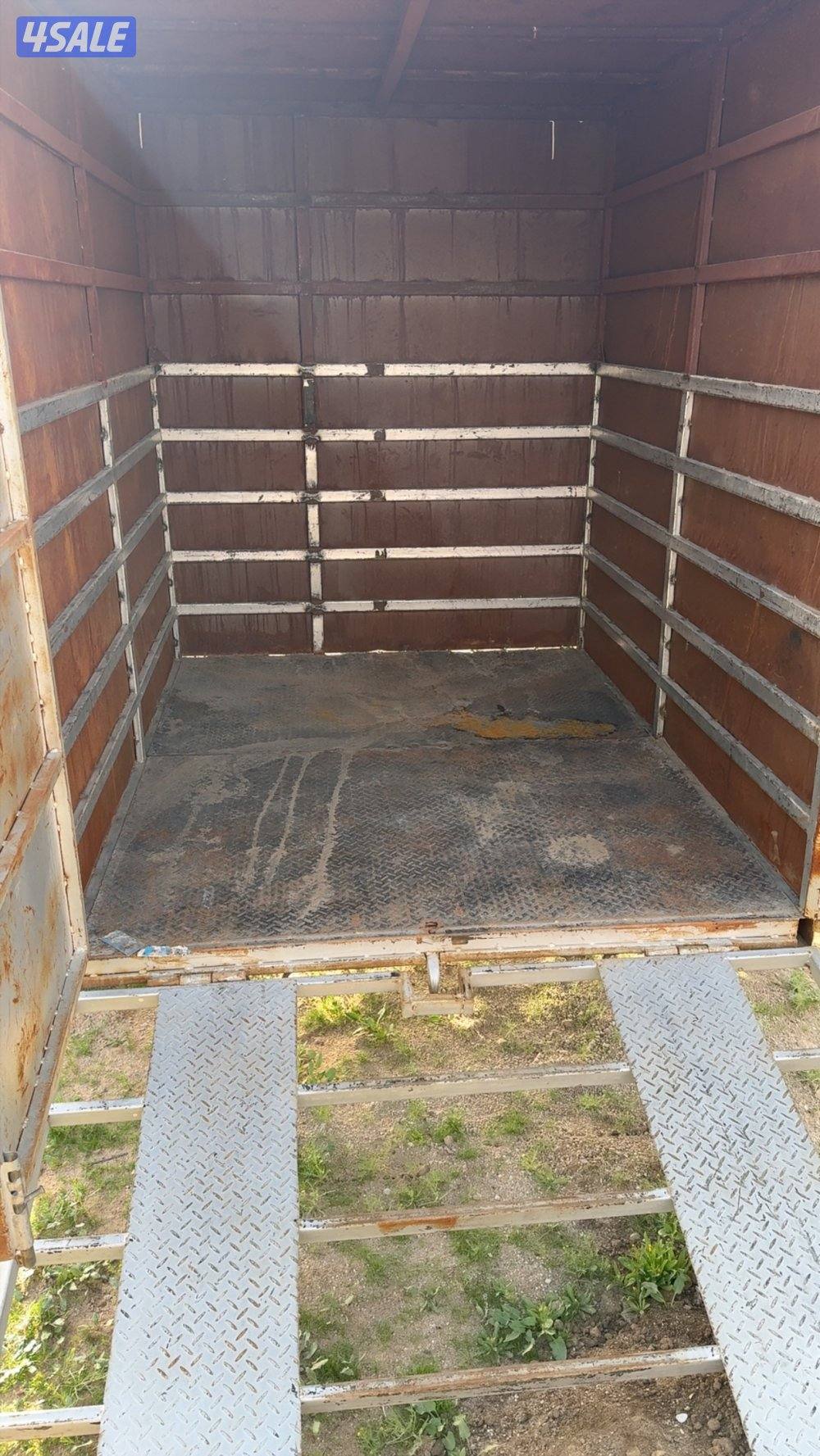 عربانه قولف نايز2