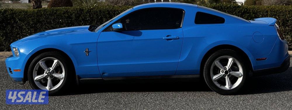 للبيع موستنج 20101