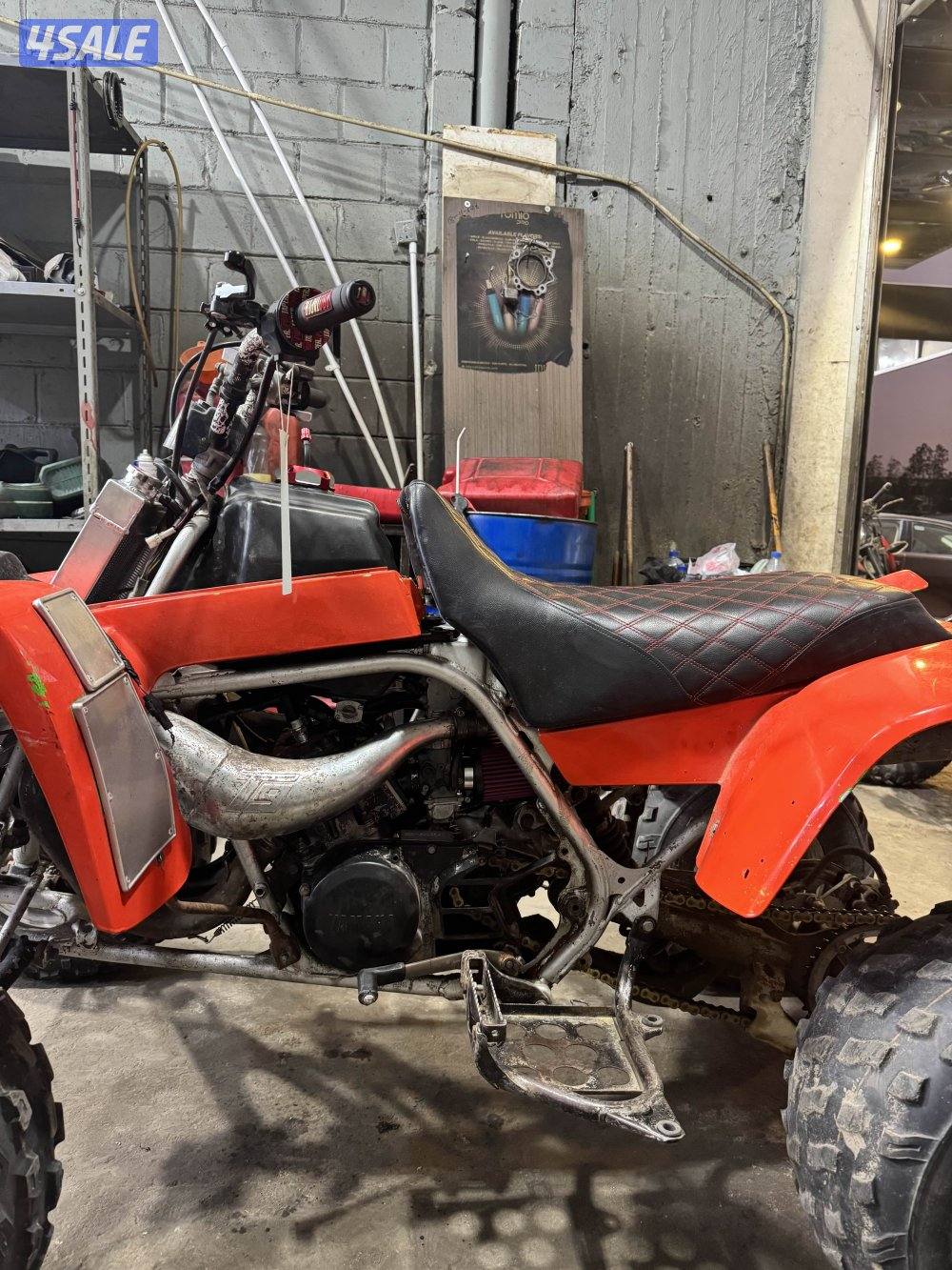 بانشي ٢٠٠٦1