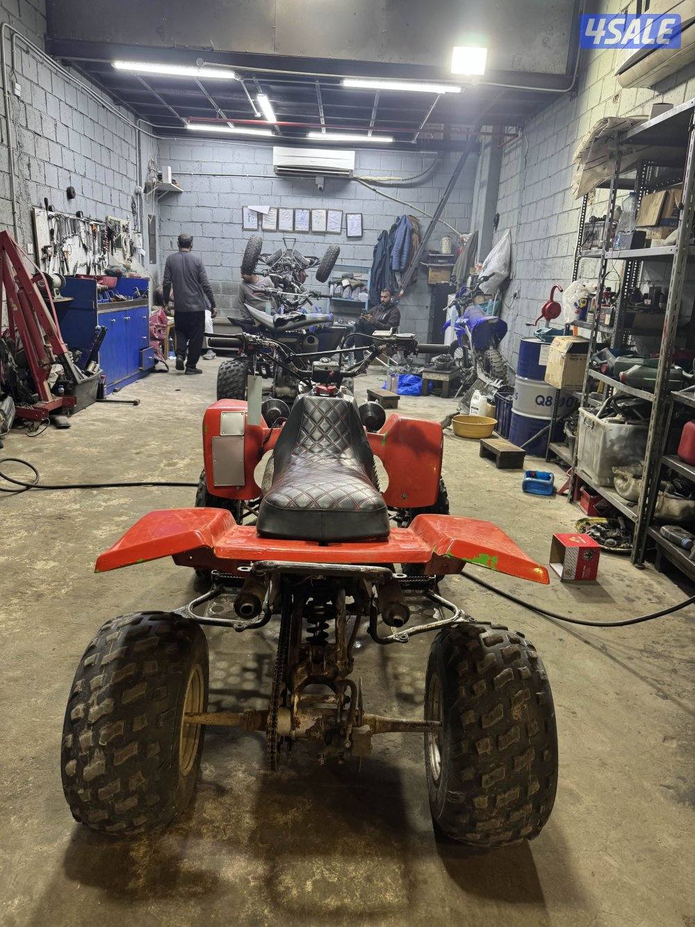 بانشي ٢٠٠٦2