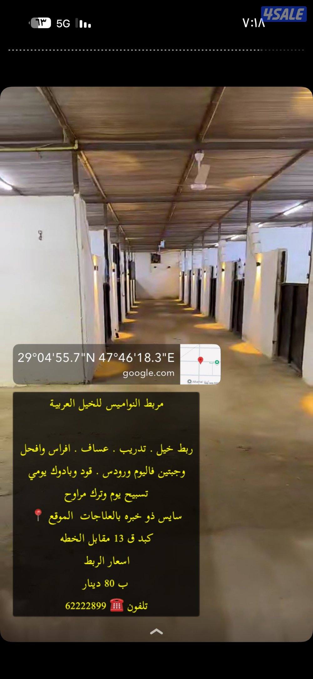 مربط للخيل كبد قطعه130