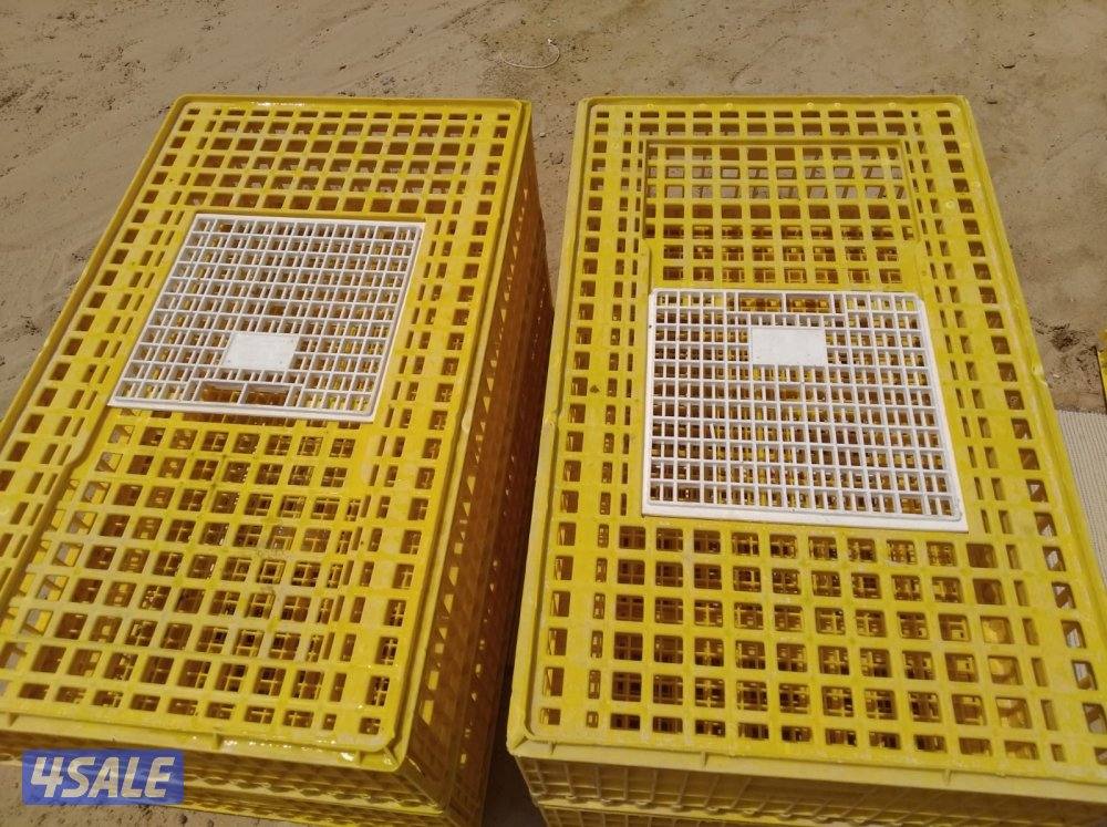 للبيع اقفاص حمام ودجاج وبط جوده عالية3