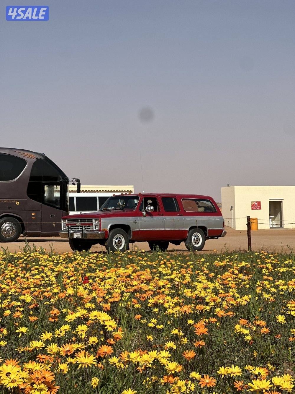 للبيع سوبرمان1