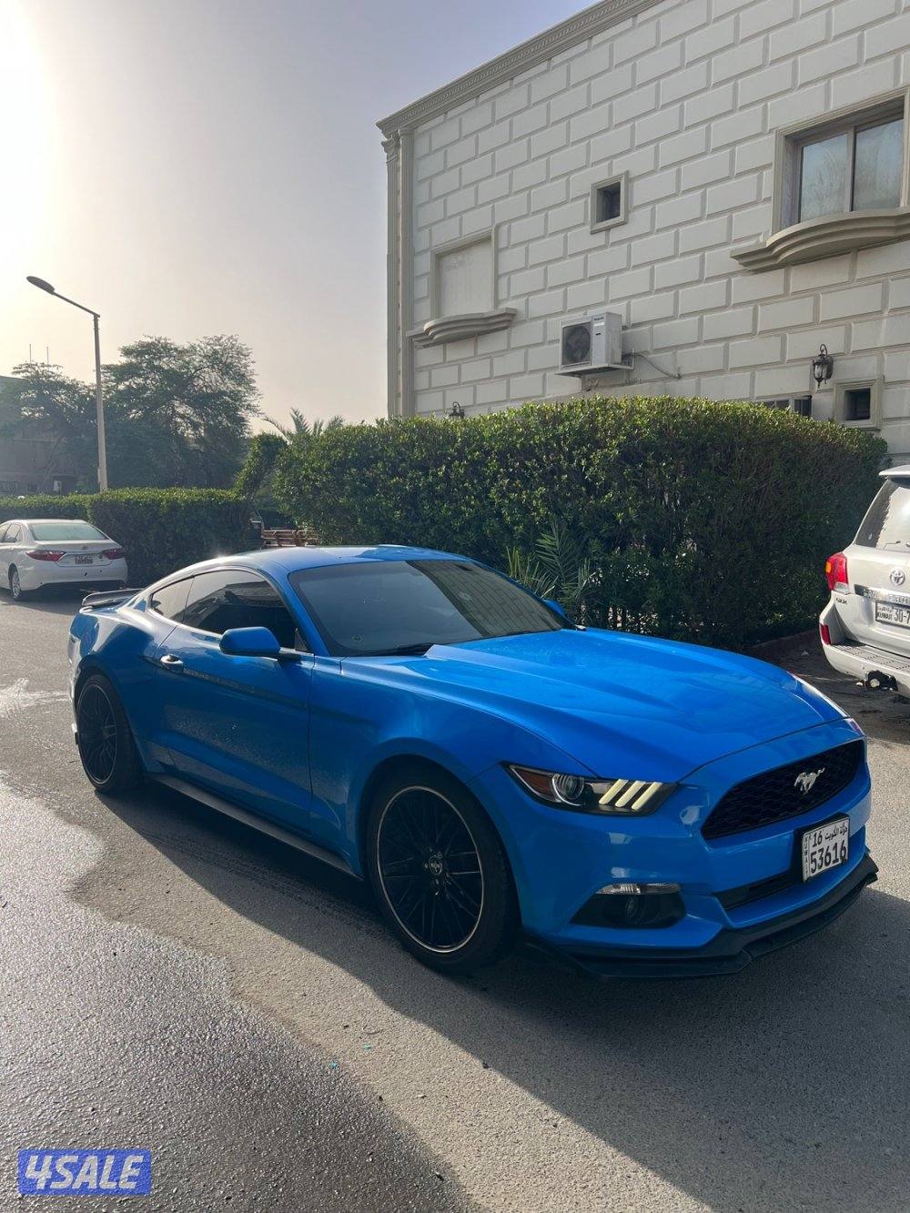 " للبيع موستنق ٦ سلندر قير عادي سيرفس منتظم "1