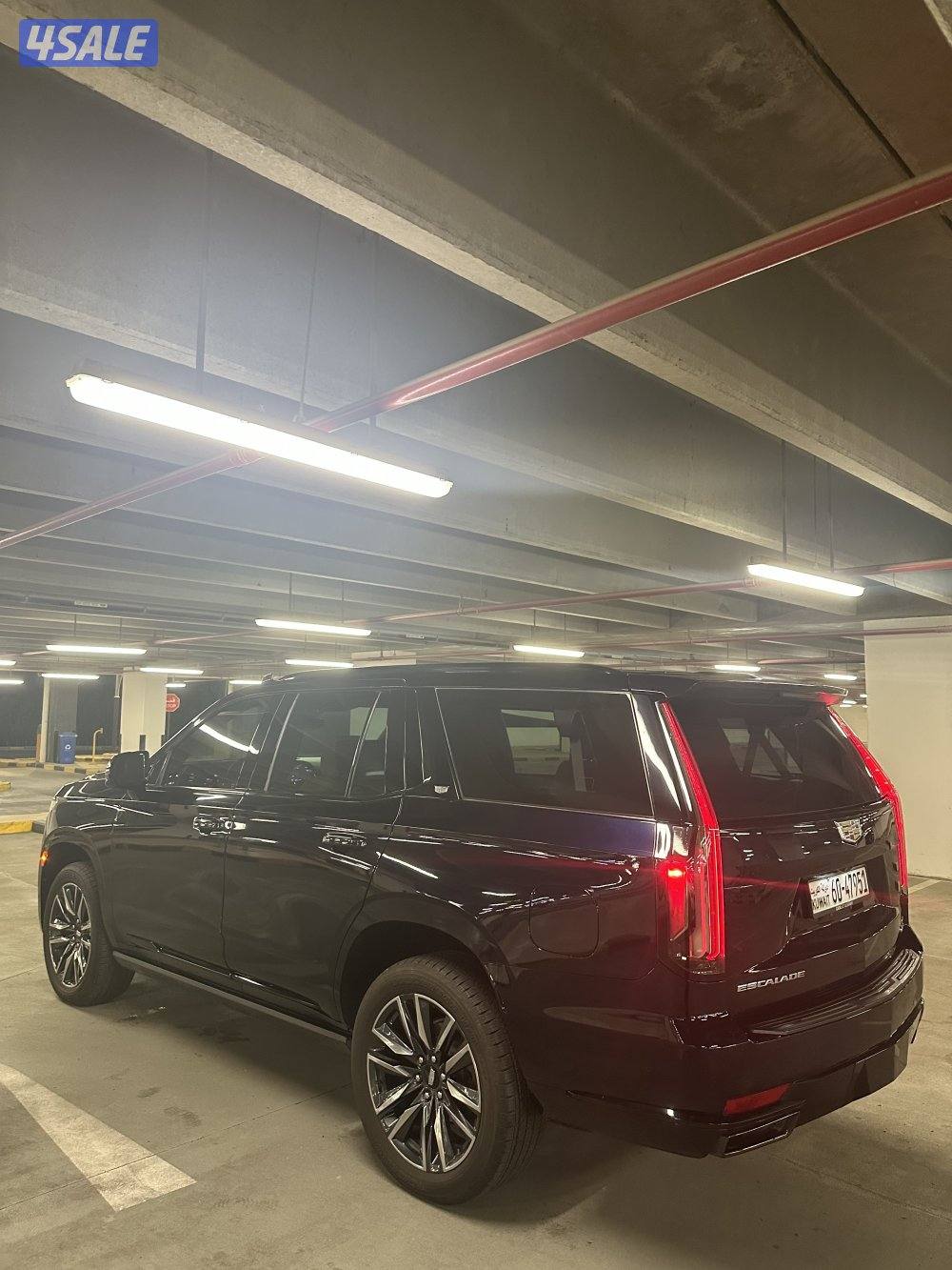 سكاليد سبورت بيعة سريعة5