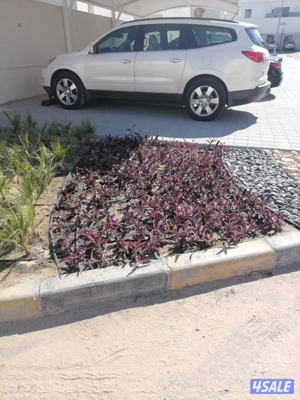 شبكات الري كونترول وصيانتها وزراعة التيل الطبيعي وصيانة شبكات الري6