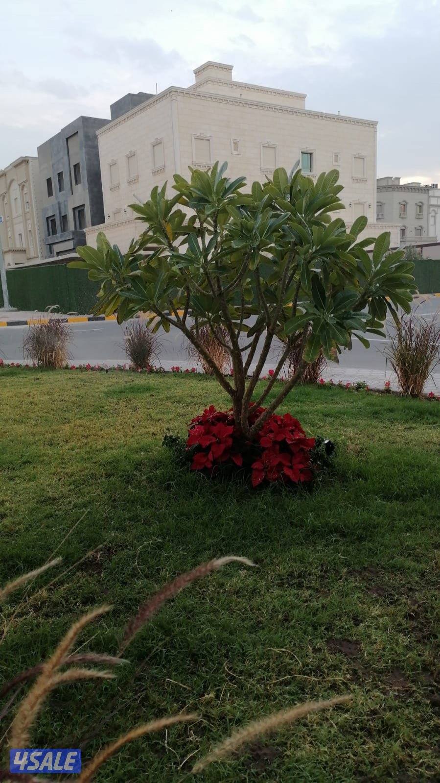 شبكات الري كونترول وصيانتها وزراعة التيل الطبيعي وصيانة شبكات الري11