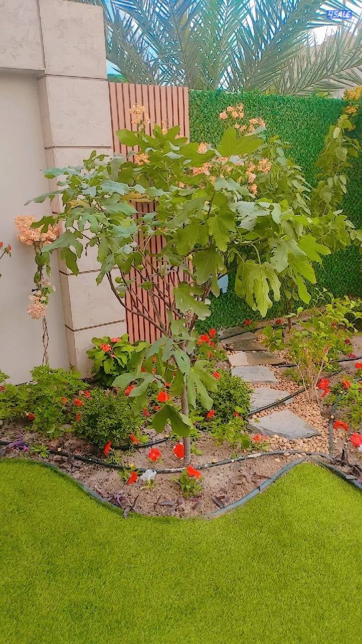 شبكات الري كونترول وصيانتها وزراعة التيل الطبيعي وصيانة شبكات الري14