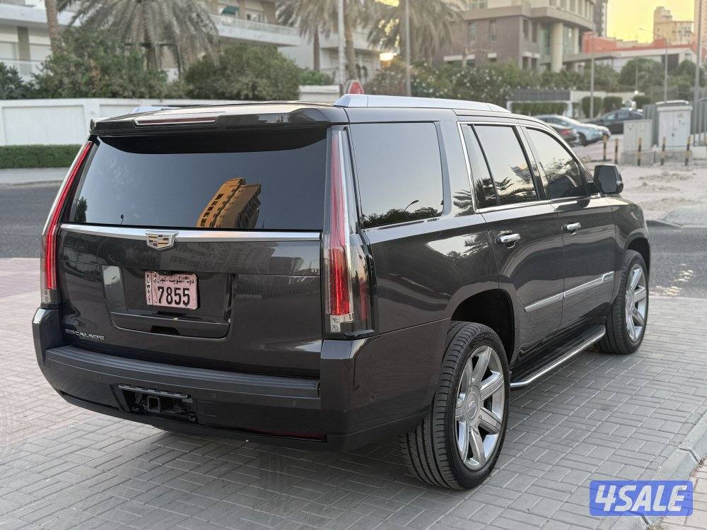 🔺كاديلاك إسكاليد بريميوم 2018 الدرجه الاولى 🔺7