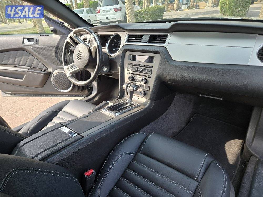 للبيع موستنق،٢٠١٠12