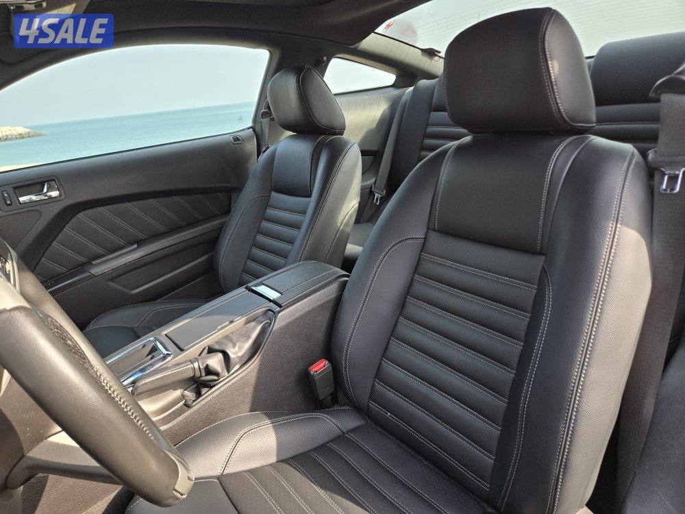 للبيع موستنق،٢٠١٠13